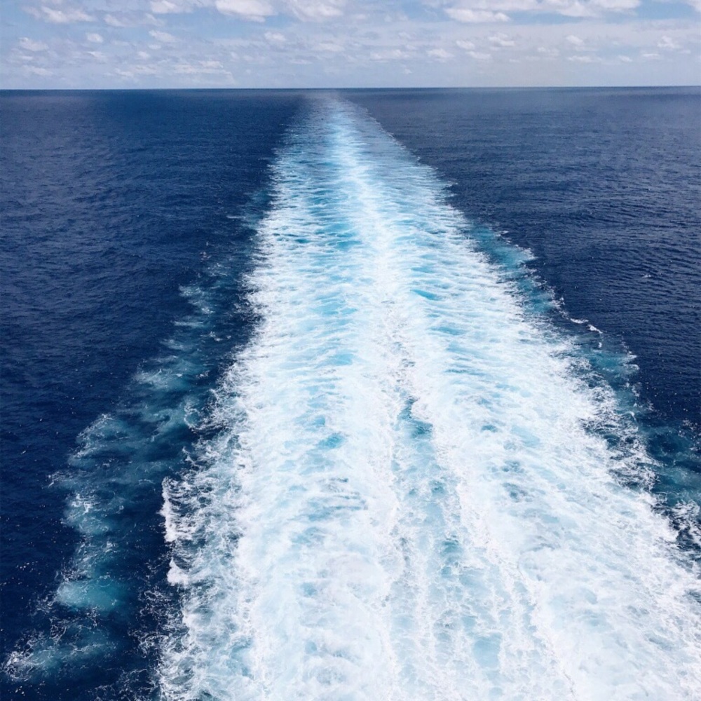 Meet your Posher, Zoe